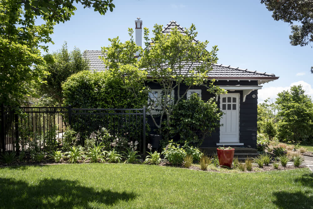 Sloped lawn with light planting and black fence